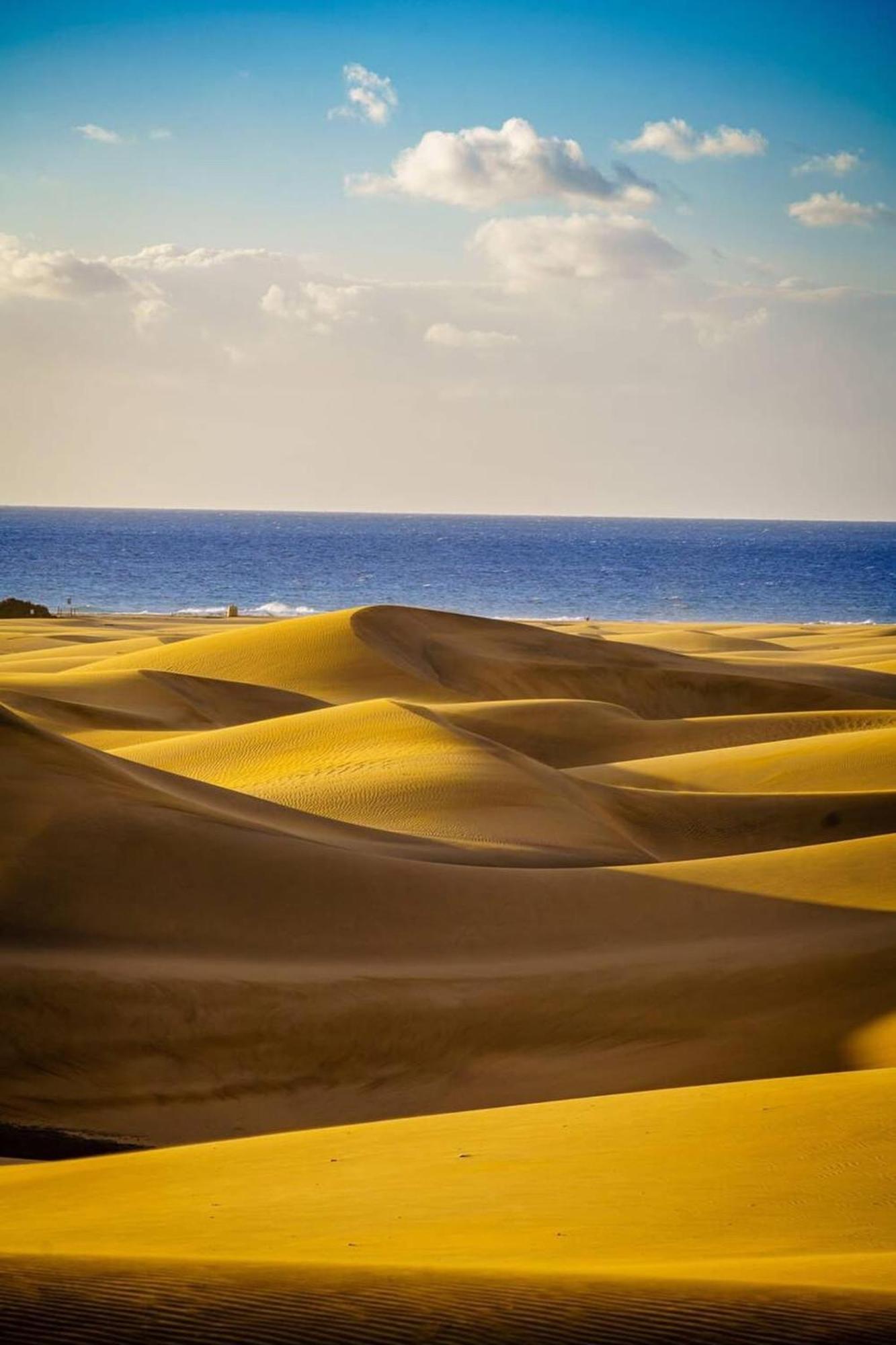 Sol Y Mar Dunas San Bartolomé エクステリア 写真